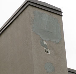 flicker damage. Photo by Bet Zimmerman