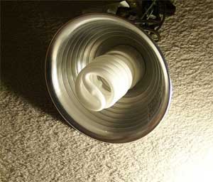 Compact Fluorescent Light.  Dean Jenkins Morguefule.com photo