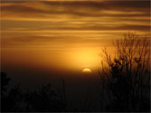 sunrise by Scott Harwood