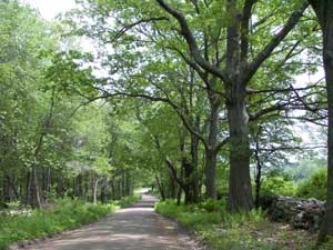 Scenic Barber Road in Woodstock, CT.  Photo by Bet Zimmerman