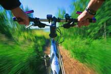 Bicycle riding is allowed on some greenways.