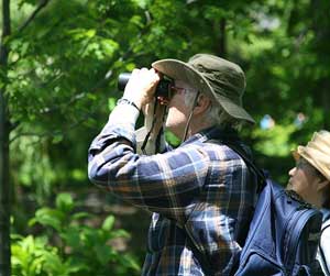 Birdwatching.  Wikimedia Commons