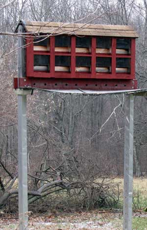 Community bathouse.  Photo by Bet Zimmerman