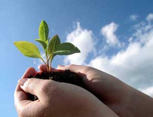 The earth is in your hands.