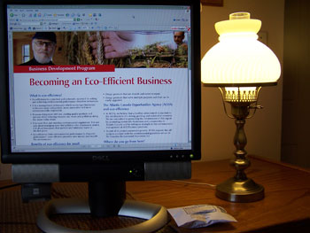 An Eco-friendly office.  Photo by Bet Zimmerman