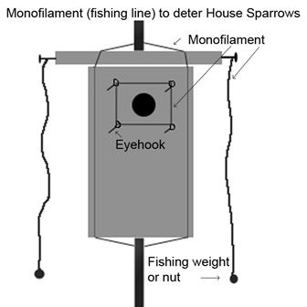 Fishing line scares off House Sparrows