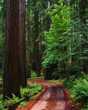 A Greenway is a corridor of open space.