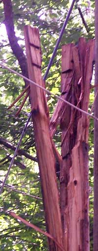 Lighting strike telephone pole.