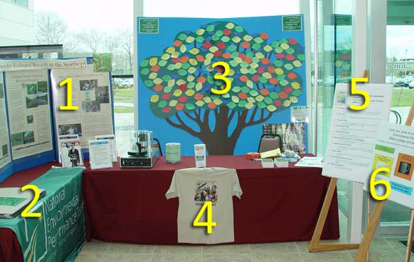 Pledge Tree at BNL. Photo by Jason Remien
