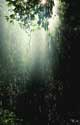 rain affects the height of the water table