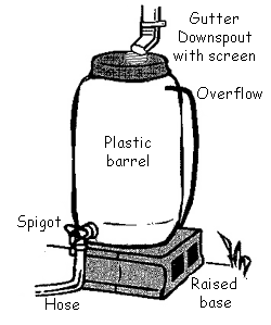 Typical rain barrel set up.
