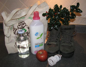 New year's resolutions - eco-friendly.  Photo by Bet Zimmerman.