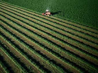Farmland
