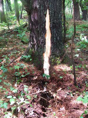 Lightning strike