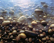 What is a watershed?