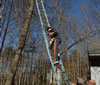 Cat Rescue: The descent